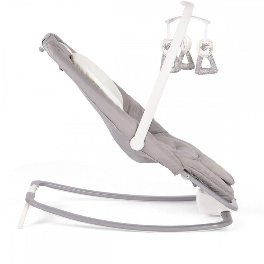 Joie Sdraietta Dreamer Fern