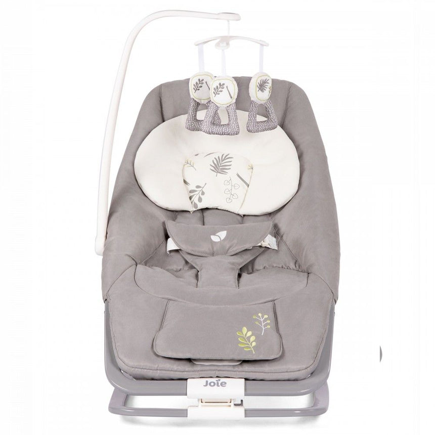 Joie Sdraietta Dreamer Fern