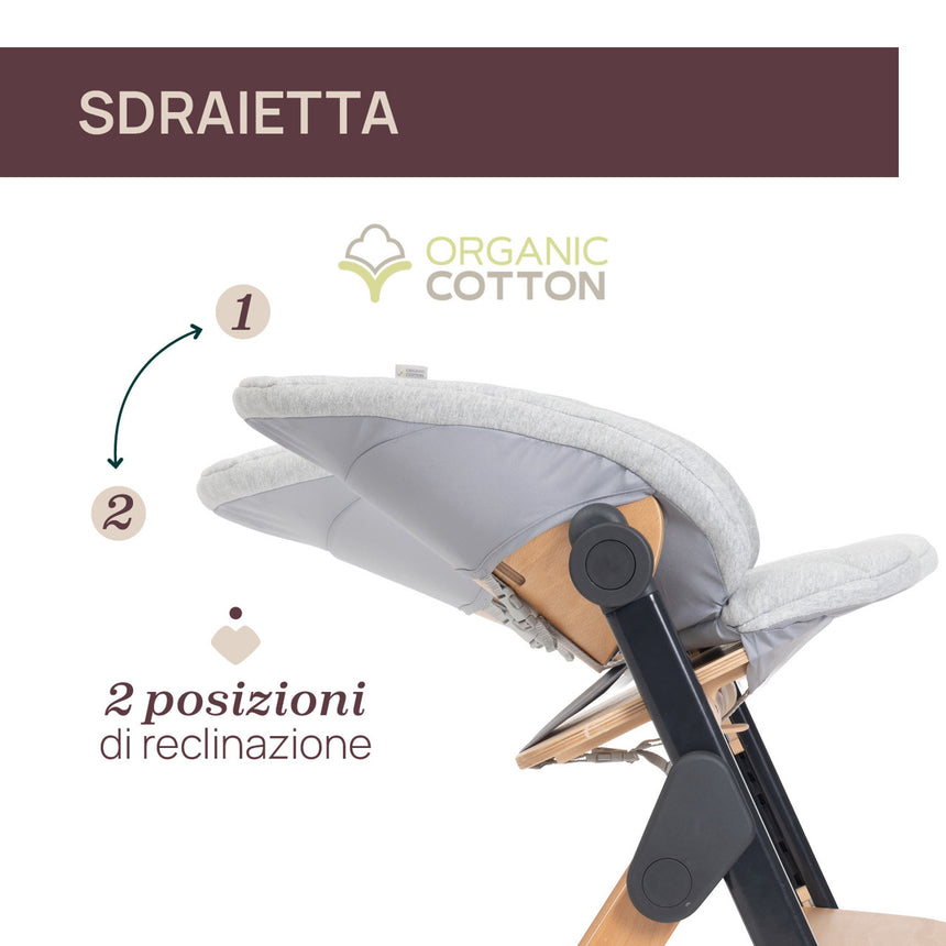 Chicco Sedia Evolutiva Meraviglia