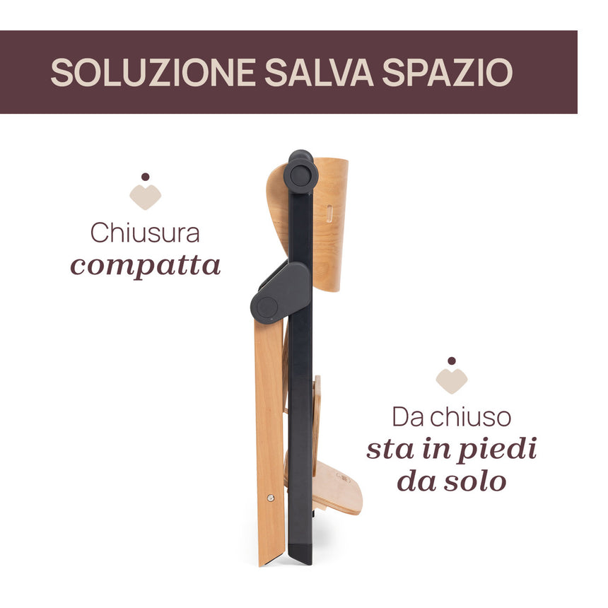 Chicco Sedia Evolutiva Meraviglia
