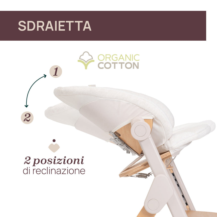Chicco Sedia Evolutiva Meraviglia