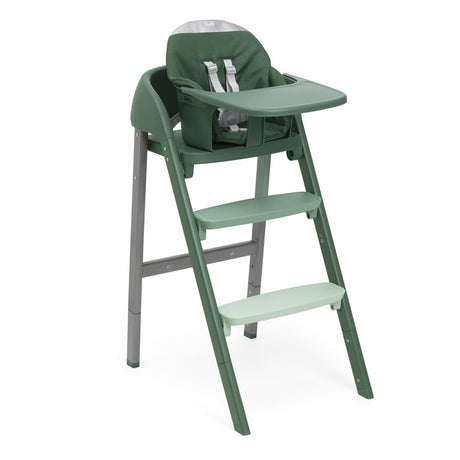 Chicco Sedia Evolutiva Crescendo Up