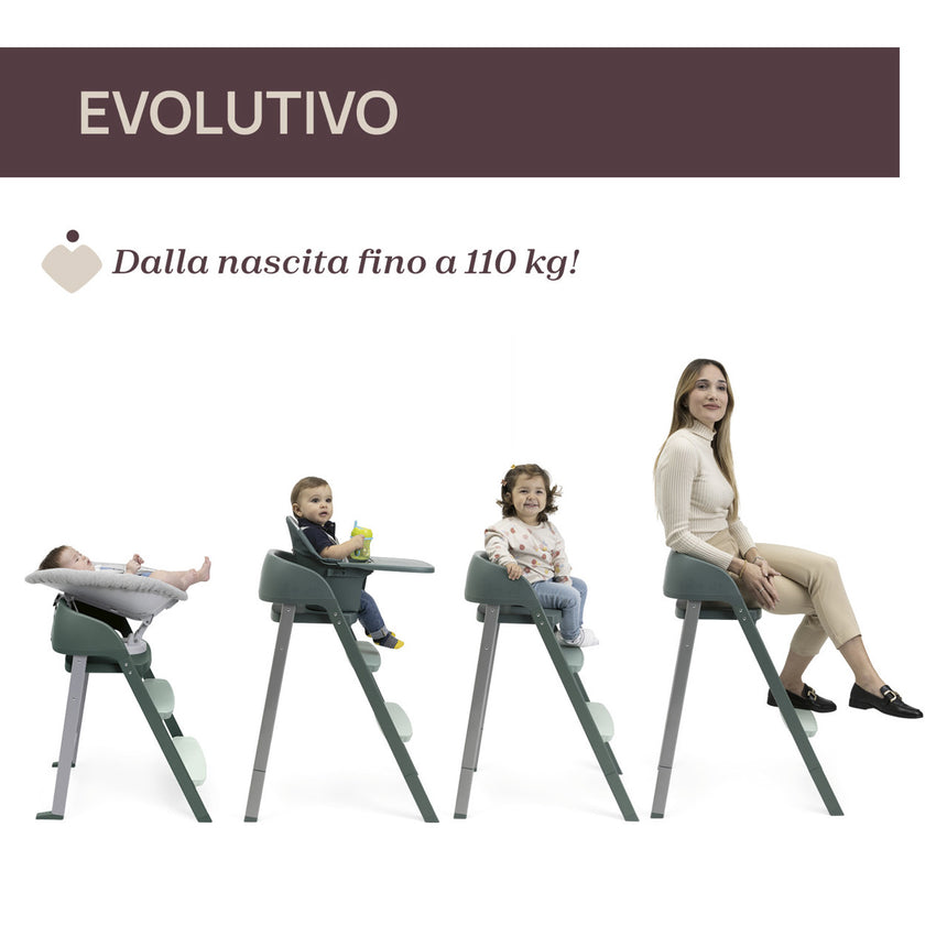 Chicco Sedia Evolutiva Crescendo Up