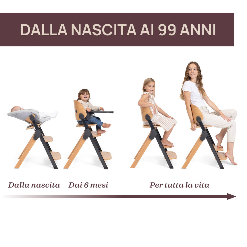 Chicco Sedia Evolutiva Meraviglia