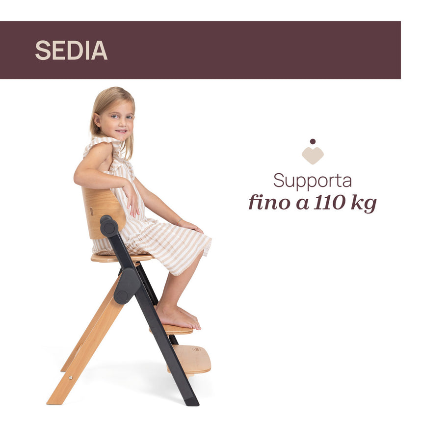 Chicco Sedia Evolutiva Meraviglia