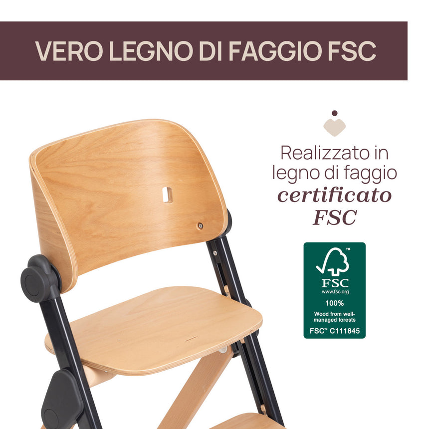 Chicco Sedia Evolutiva Meraviglia