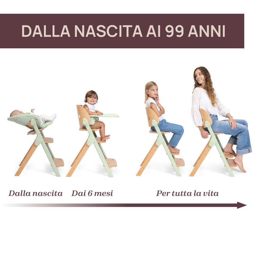 Chicco Sedia Evolutiva Meraviglia