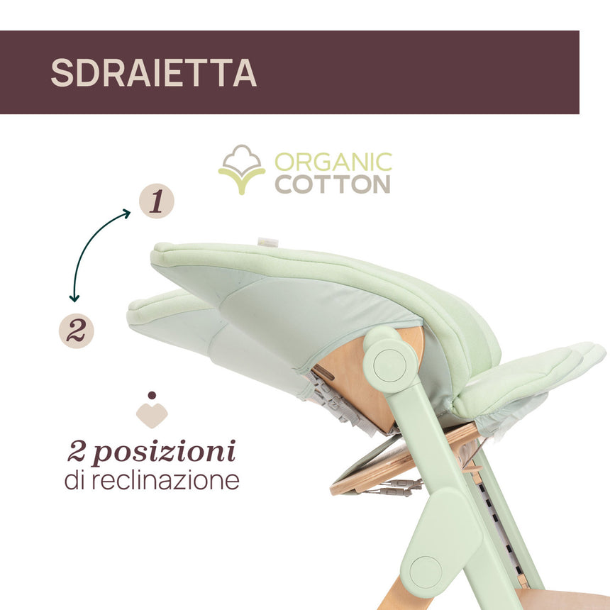 Chicco Sedia Evolutiva Meraviglia