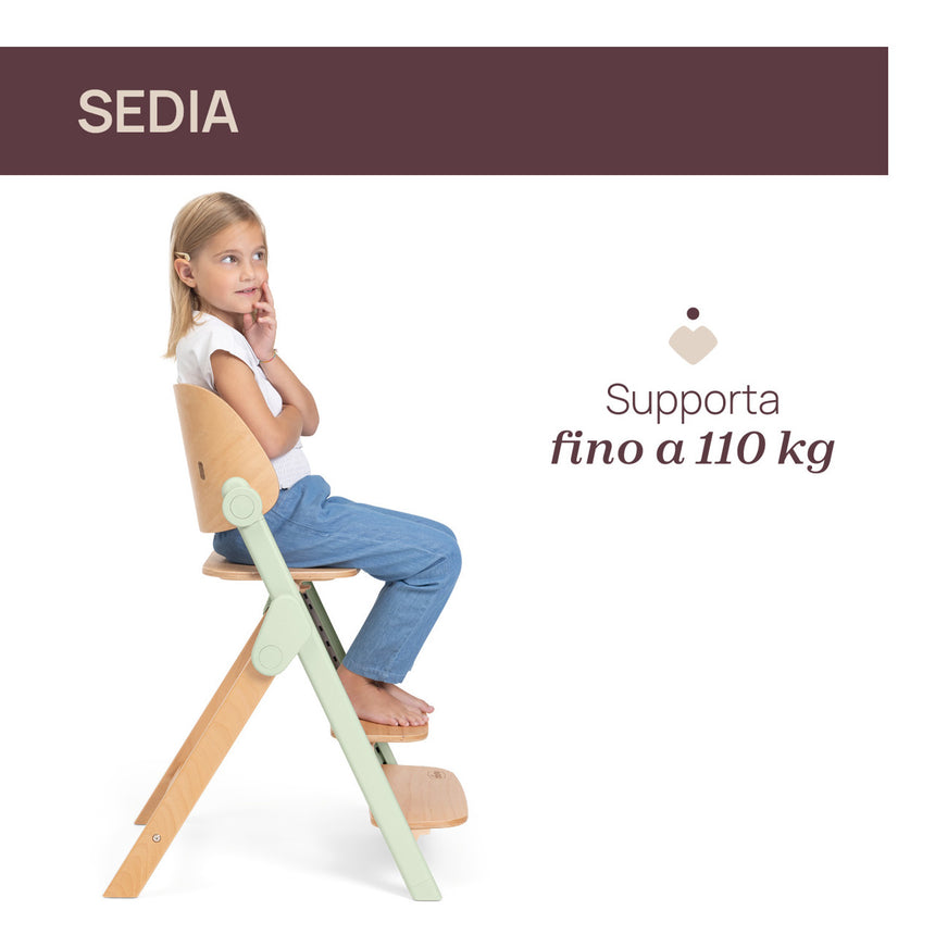 Chicco Sedia Evolutiva Meraviglia