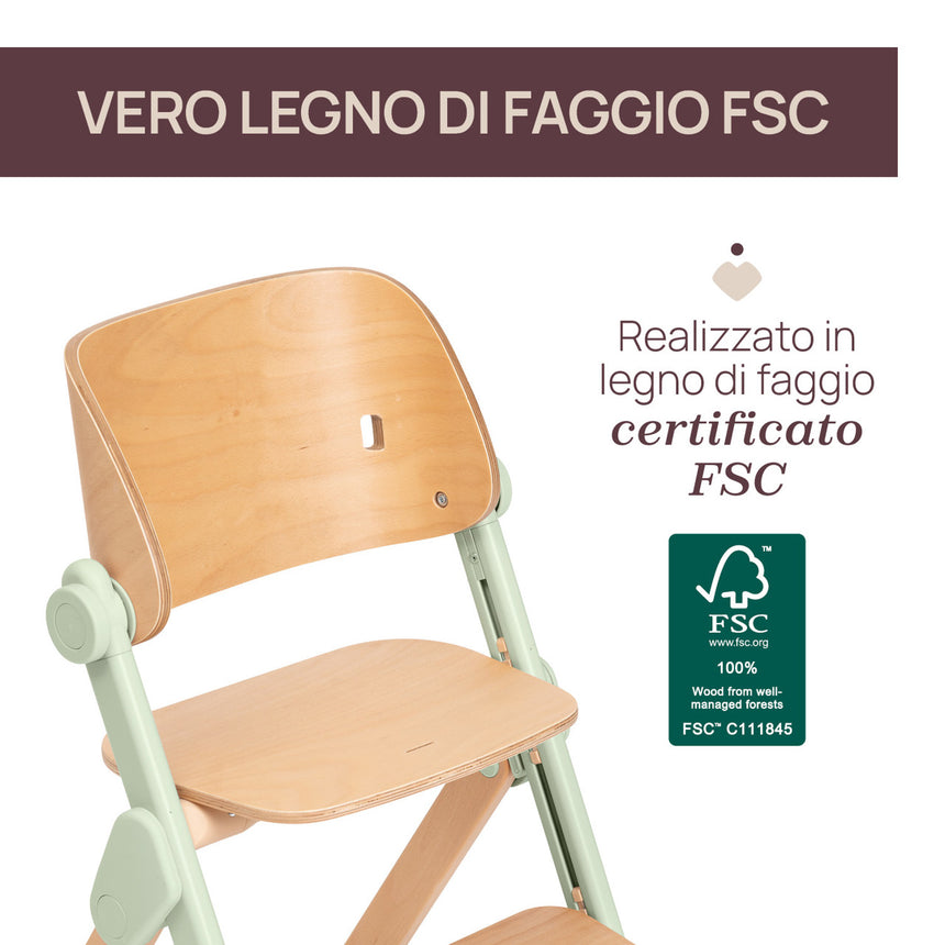 Chicco Sedia Evolutiva Meraviglia