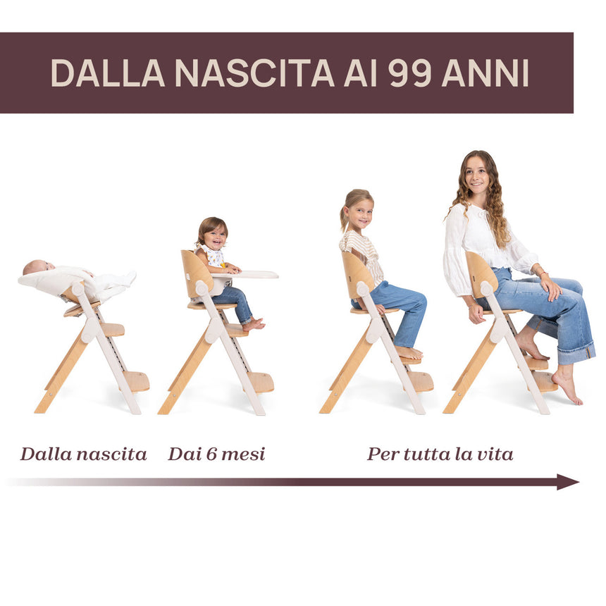 Chicco Sedia Evolutiva Meraviglia