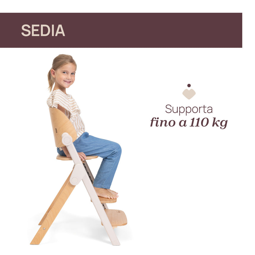 Chicco Sedia Evolutiva Meraviglia